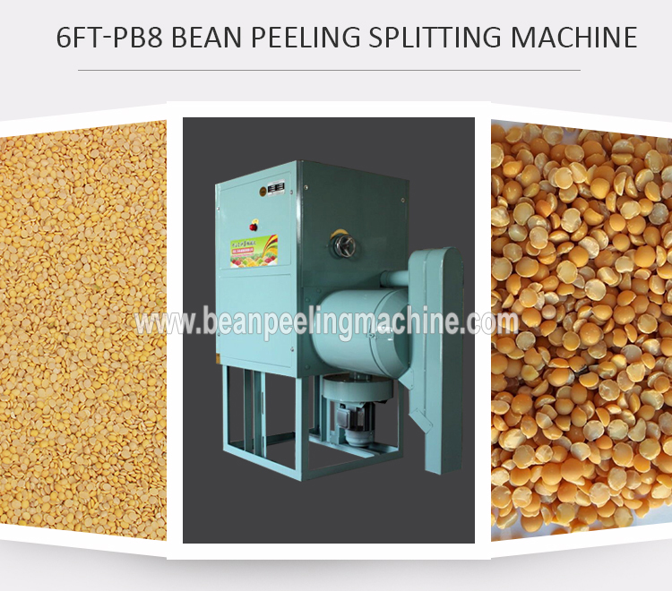 China hot sell small scale 500kg/hour dry soyabean peeling/peeler machine