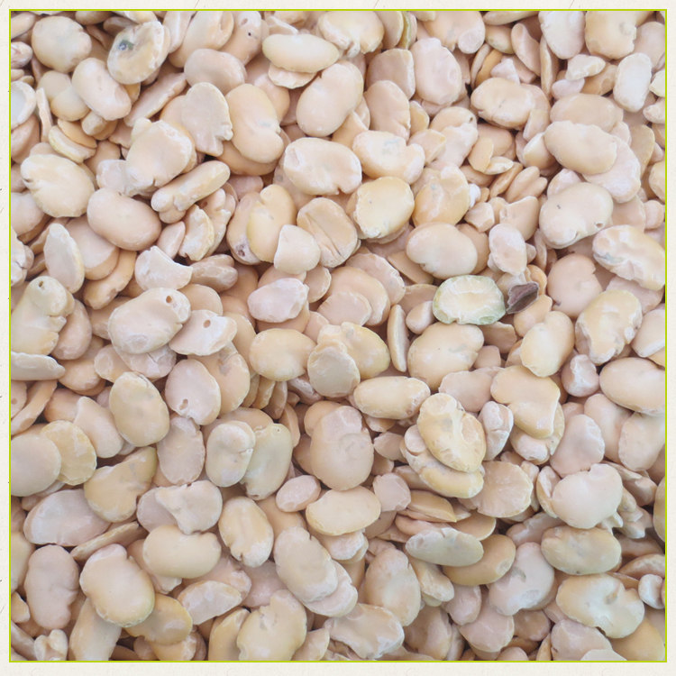 High efficiency broad soybean tiger nut skin bean peeling machine