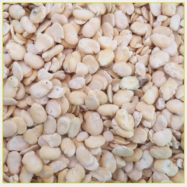Chine meilleure vente machine à éplucher les haricots soja noix de tigre machine à éplucher large