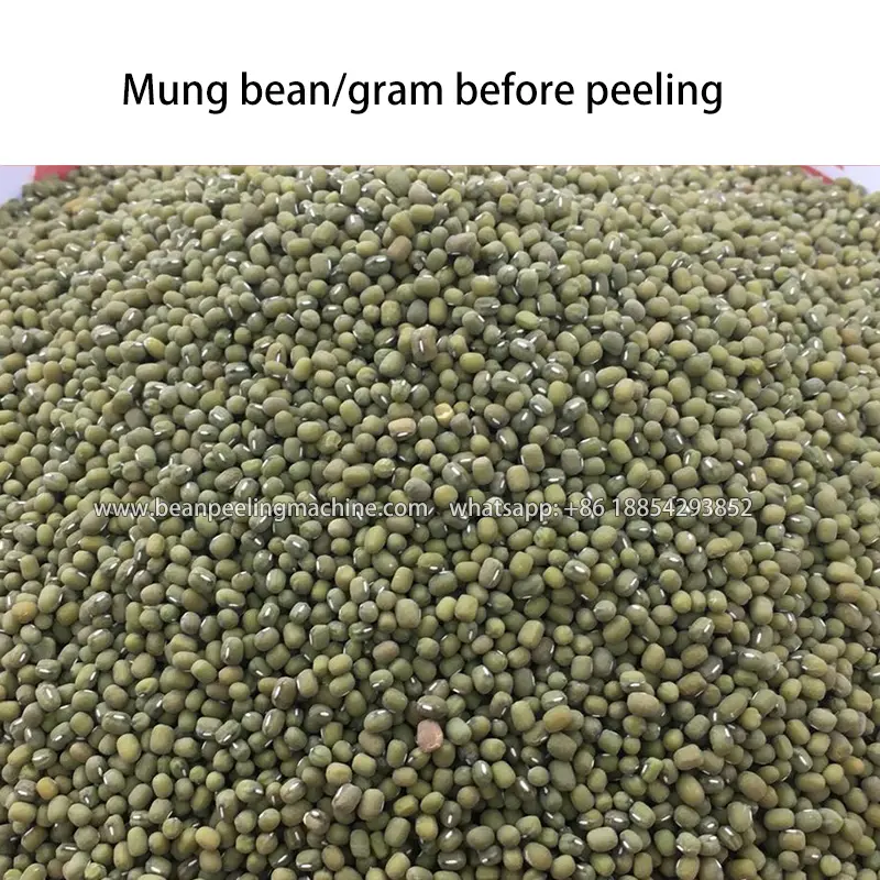 2023 Best sell Mung bean /gram peeler peeling machine in Korea