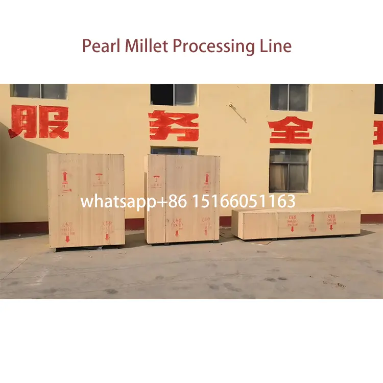 Best Pearl Millet Processing Machine Line for Africa
