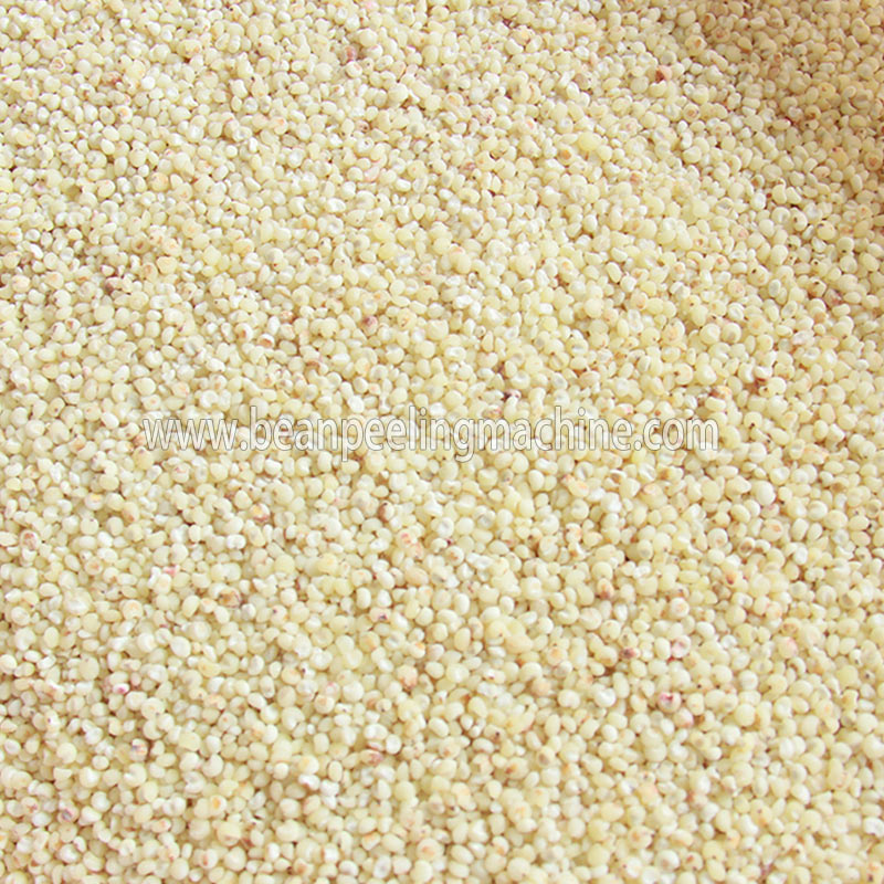 2019 hot sale black eye bean rice sorghum wheat peeling machine