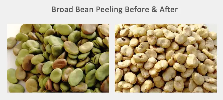 Skinless whole shape broad bean peeling machine