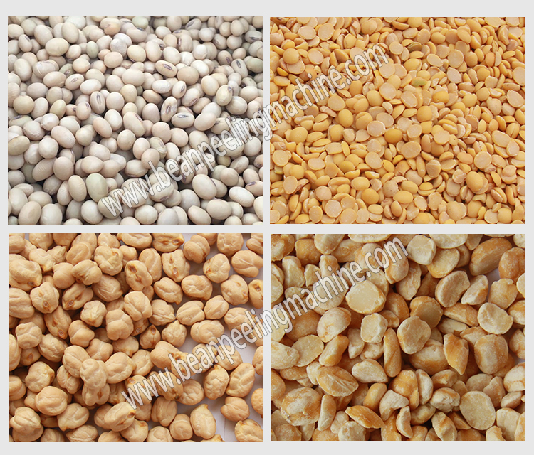 Hige output 500kg/hour soyabean/chickpea/pea peeling and splitting machine