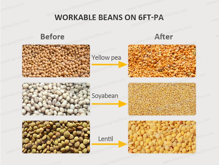 Lentil.jpg