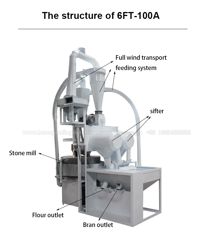 structure.jpg