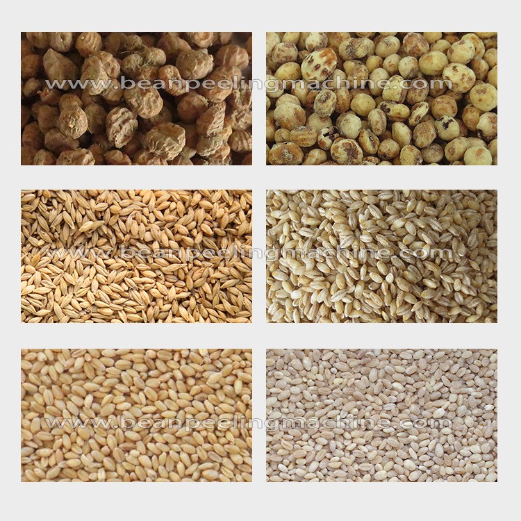 barley-wheat-tigernut.jpg