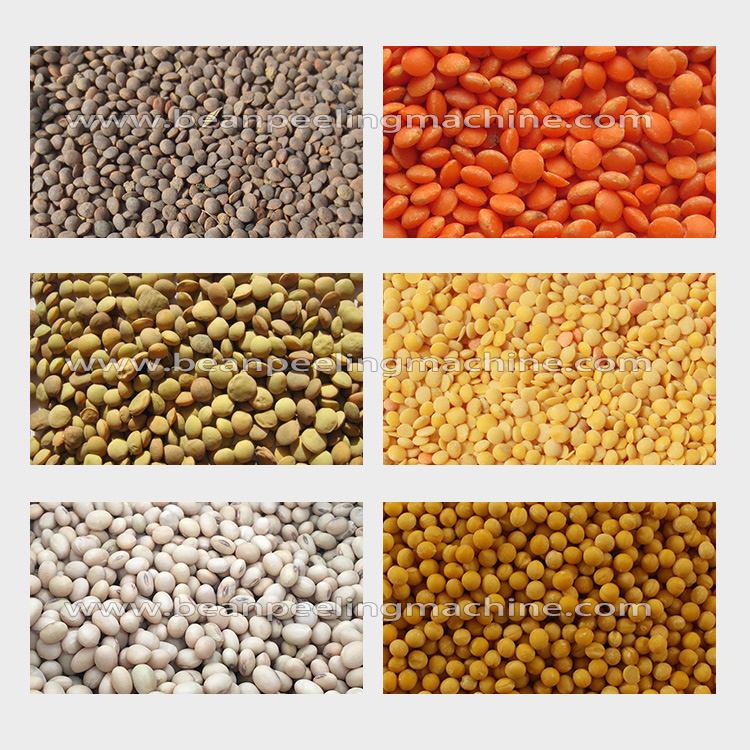 lentil-soyabean-2.jpg