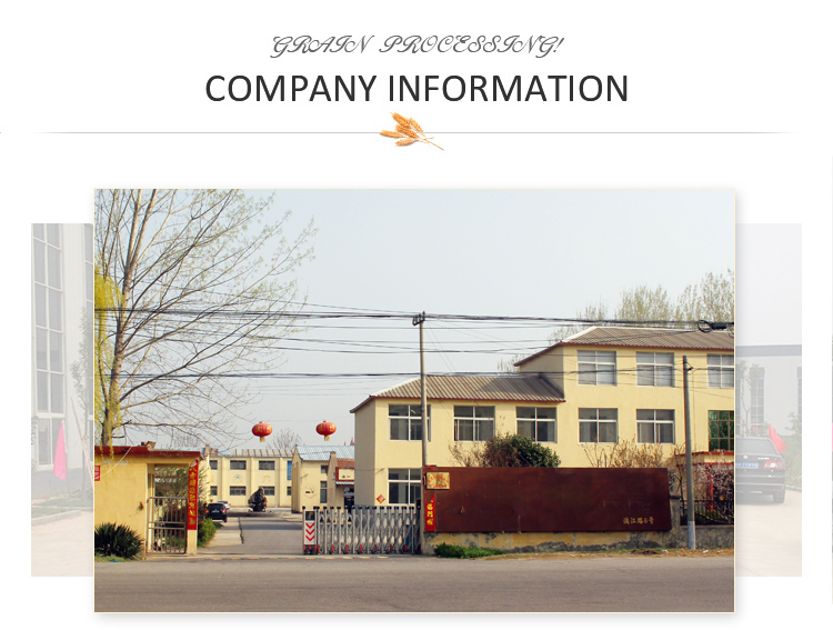 Company information.jpg