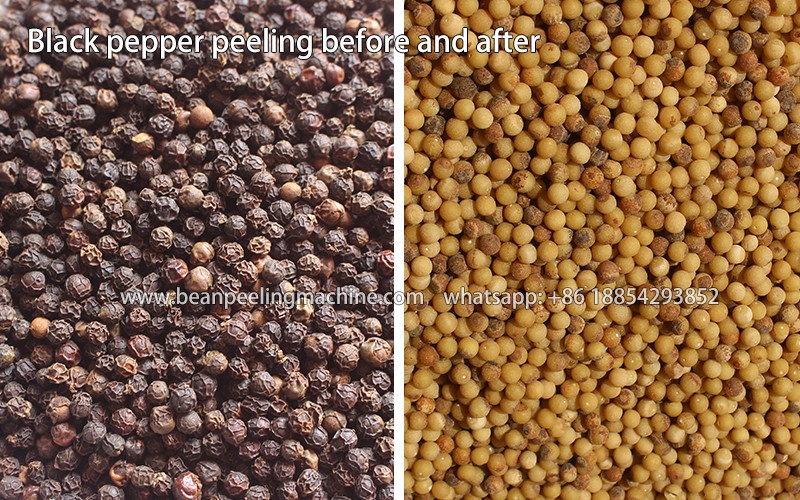 black-pepper.jpg