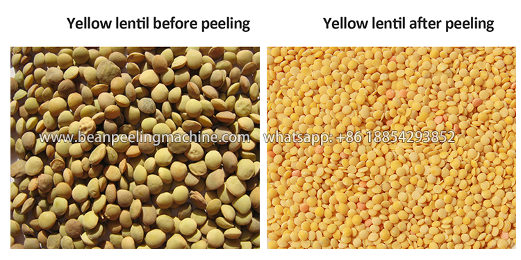 yellow-lenti-peeler.jpg