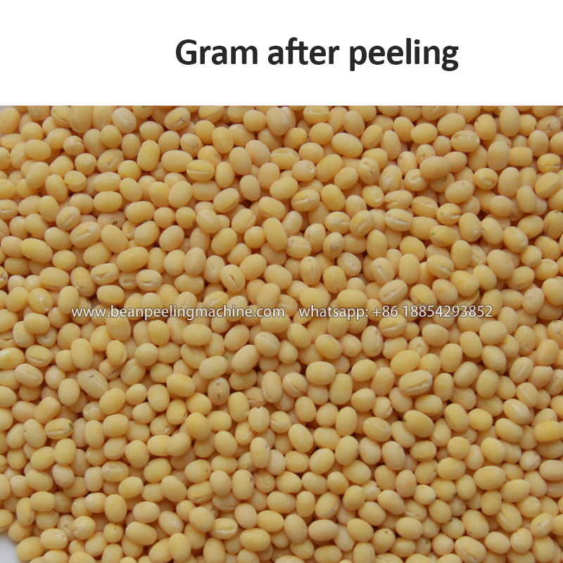 Gram.jpg