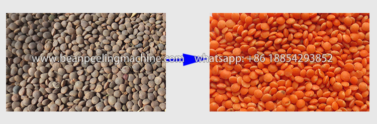 red-lentil-machine.jpg