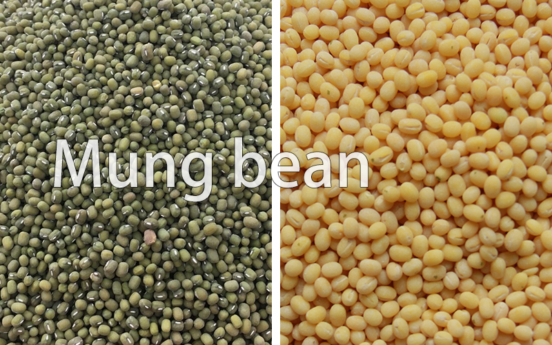 mung-bean670897.jpg