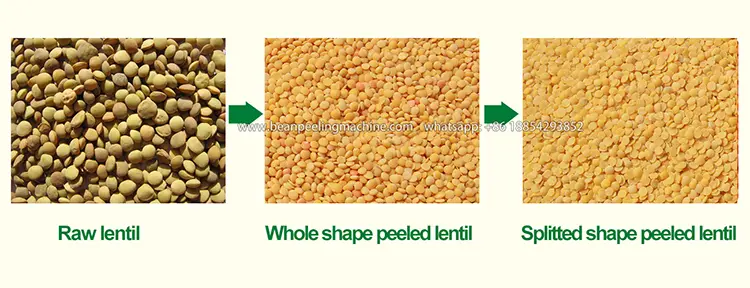 yellow-lentil.webp