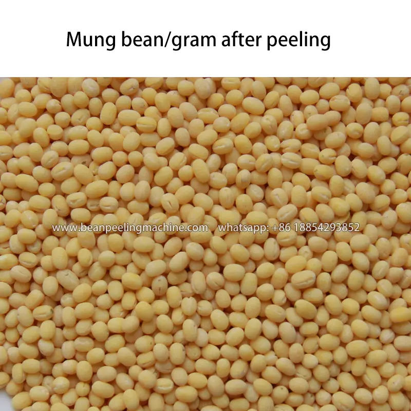 mung-bean-after-peeling.webp