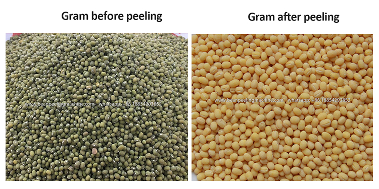 6FT-F20 mung bean lentil peeling mahcine