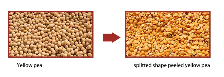 Soybean peeling /dehulling machine